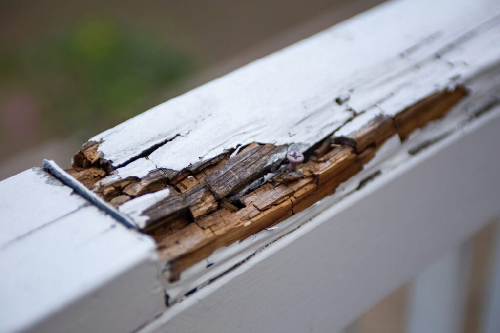 rotting wood coastal home