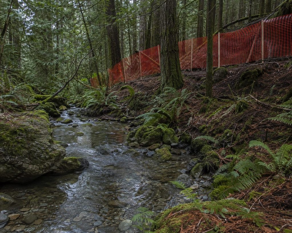 Orange protective fencing set back from a small forest creek marking a protected area on a coastal building site