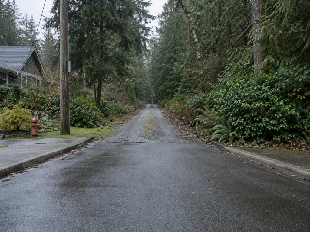 Paved street with concrete curb and sidewalk ending where a gravel rural road carries on into the trees