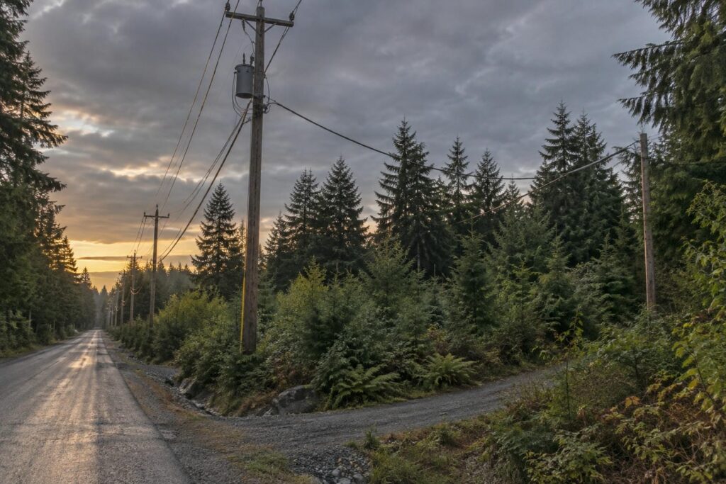 Wooden power poles carrying an overhead line along a rural road and turning in over a treed acreage