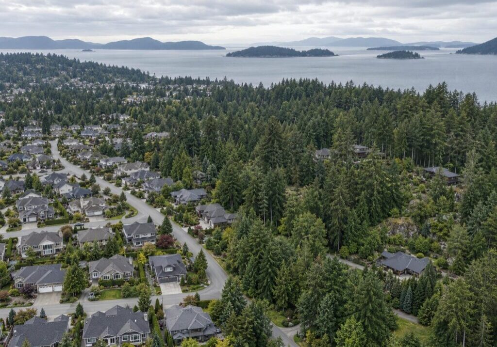 Elevated view of a Nanaimo residential neighbourhood ending where forested acreage begins, with the ocean and islands on the horizon
