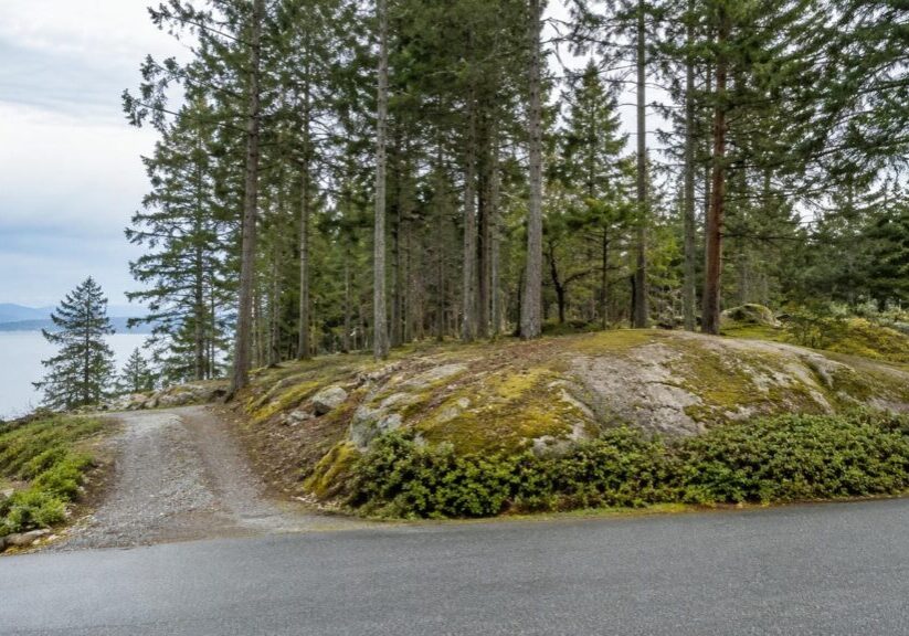 Treed residential building lot on Vancouver Island with tall Douglas fir and cedar standing before construction begins in Nanaimo